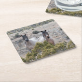 ワイルドマスタングマーレアンドワイルドホーススタリオン スクエアペーパーコースター (アングル)