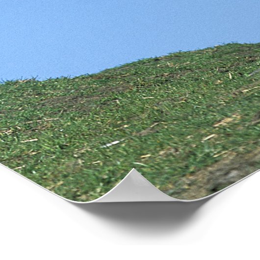 ワイルドマスタング馬 ポスター (角)