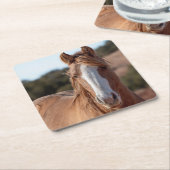 ワイルドマスタング スクエアペーパーコースター (アングル)