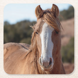 ワイルドマスタング スクエアペーパーコースター