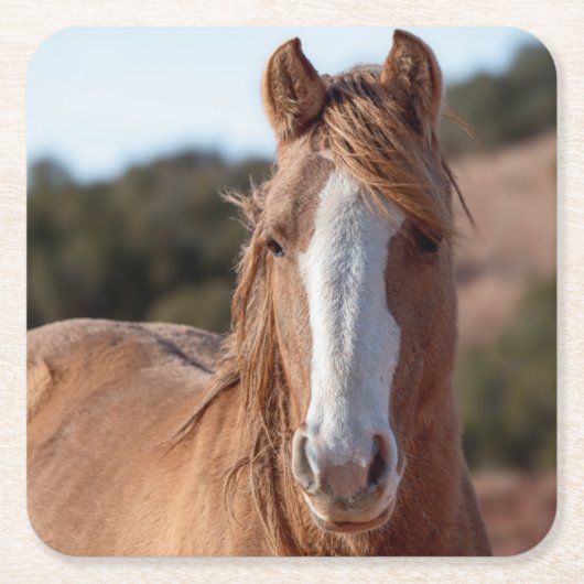 ワイルドマスタング スクエアペーパーコースター (正面)