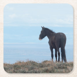 ワイルドマスタング スクエアペーパーコースター