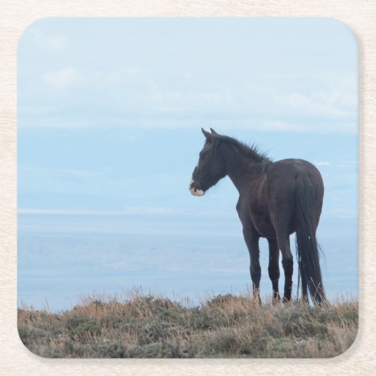 ワイルドマスタング スクエアペーパーコースター (正面)