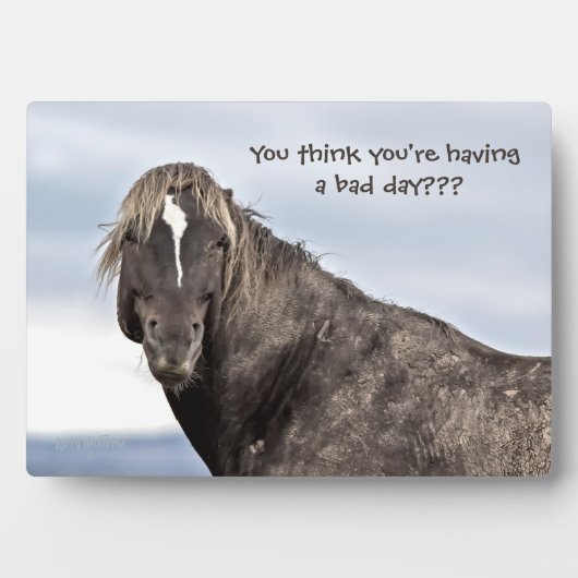 ワイルドマスタング フォトプラーク (正面)