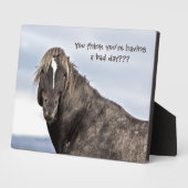 ワイルドマスタング フォトプラーク (側面)