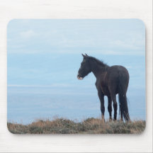 ワイルドマスタング