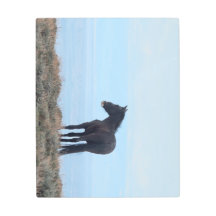 ワイルドマスタング