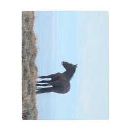 ワイルドマスタング メタルプリント