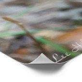 ワイルドマースイースタンコットンテールラビットポスター ポスター (角)