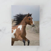 ワイルドマー走レグリーティングカード カード (内部)