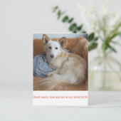 ワイルドミックスドッグ雪音の2019年賀状 ポストカード (スタンド正面)