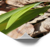 ワイルドミニチュアアイリス ポスター (角)