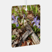 ワイルドミニチュアアイリス メタルオーナメント (正面右)