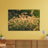 ワイルドミレー（パニカムSp.） 湿地で育つ キャンバスプリント (インサイチュ (リビング))