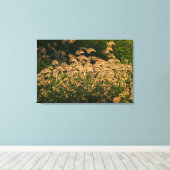 ワイルドミレー（パニカムSp.） 湿地で育つ キャンバスプリント (インサイチュ (ウッドフロア))