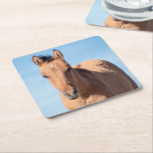 ワイルドムスタンフォール スクエアペーパーコースター (アングル)