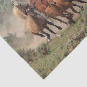 ワイルドムスタンヘルド 薄葉紙 (詳細)