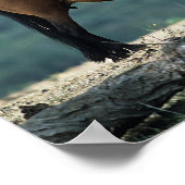 ワイルドムスタンマーレ&フォール ポスター (角)