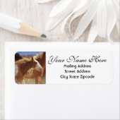 ワイルドムスタン差出人住所 ラベル (インサイチュ)