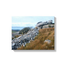 ワイルドムーア・ボドミン・ムーア・コーンウォール・イングランド