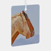 ワイルドメモリオーナメント メタルオーナメント (正面右)