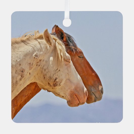 ワイルドメモリオーナメント メタルオーナメント (正面)