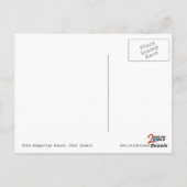 ワイルドモンゴル馬ゴビ砂漠はがき ポストカード (裏面)