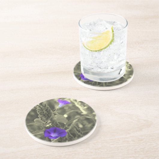 ワイルドモーニンググロリズフローラコースター コースター (側面)