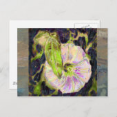 ワイルドモーニンググローリーバイアレクサンドラ調理師 ポストカード (正面/裏面)