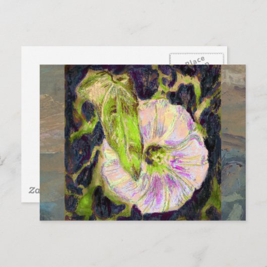 ワイルドモーニンググローリーバイアレクサンドラ調理師 ポストカード (正面/裏面)