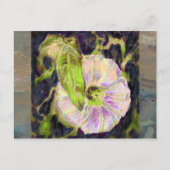 ワイルドモーニンググローリーバイアレクサンドラ調理師 ポストカード (正面)