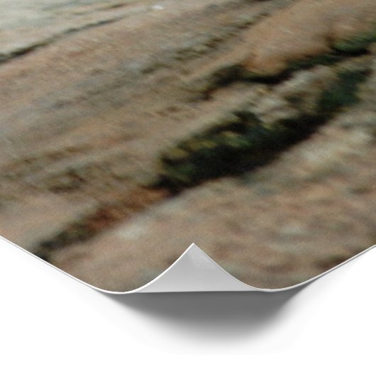 ワイルドヤギ ポスター (角)