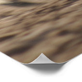 ワイルドライド ポスター (角)