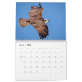 ワイルドライフアットフォートデソトパーク2026 カレンダー (3月 2026)