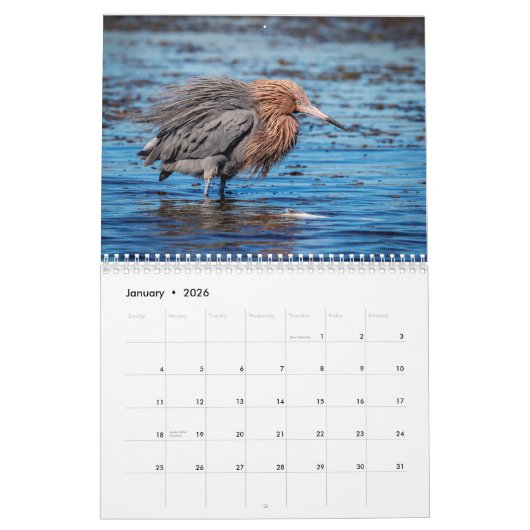 ワイルドライフアットフォートデソトパーク2026 カレンダー (1月 2026)