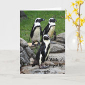 ワイルドライフアフリカペンギン写真悔やみや弔慰 カード (黄色い花)