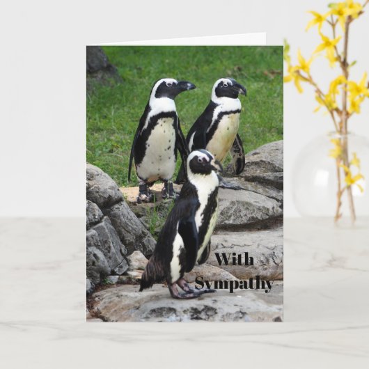 ワイルドライフアフリカペンギン写真悔やみや弔慰 カード (黄色い花)