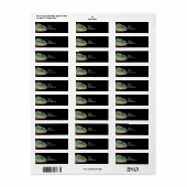 ワイルドライフイグアナ写真 ラベル (フルシート)