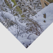 ワイルドライフウルフの雪写真 薄葉紙 (詳細)