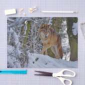 ワイルドライフウルフの雪写真 薄葉紙 (クラフト)