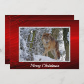 ワイルドライフウルフ雪写真クリスマスフラット シーズンカード (正面/裏面)