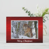 ワイルドライフウルフ雪写真クリスマスフラット シーズンカード (スタンド正面)