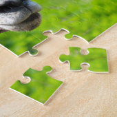 ワイルドライフカナダ。大きな角の羊。 ジグソーパズル (側面)