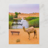 ワイルドライフキャメルオアシス写真誕生日 ポストカード (正面)