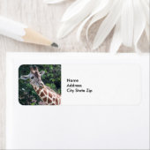 ワイルドライフキリンポートレート写真 ラベル (インサイチュ)