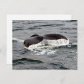 ワイルドライフクジラ尾アラスカ写真 ポストカード (正面/裏面)