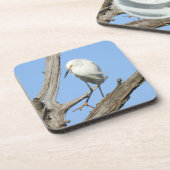 ワイルドライフコースターセット，雪のイネ，鳥，自然 コースター (左側)