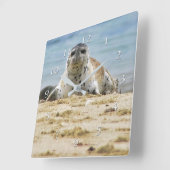 ワイルドライフシールビーチラジョラコーブ スクエア壁時計 (傾斜)