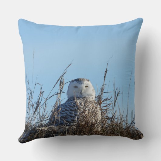 ワイルドライフスノーフクロウ装飾用クッション クッション (裏面)
