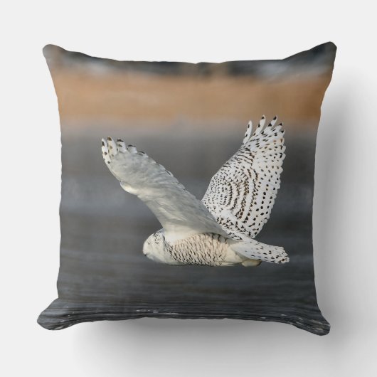 ワイルドライフスノーフクロウ装飾用クッション クッション (正面)